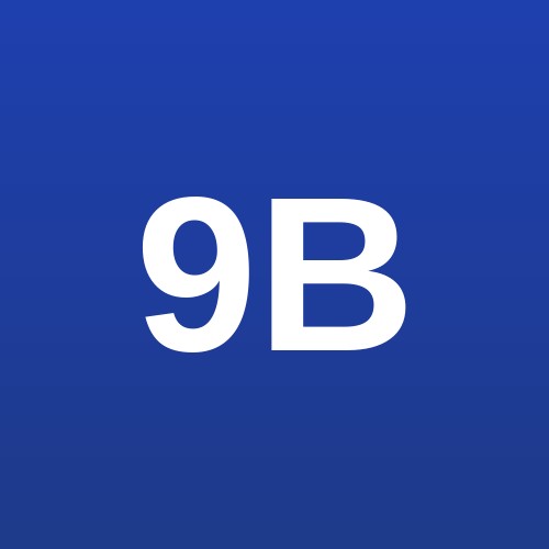 9lm B.O – Pincode 335703